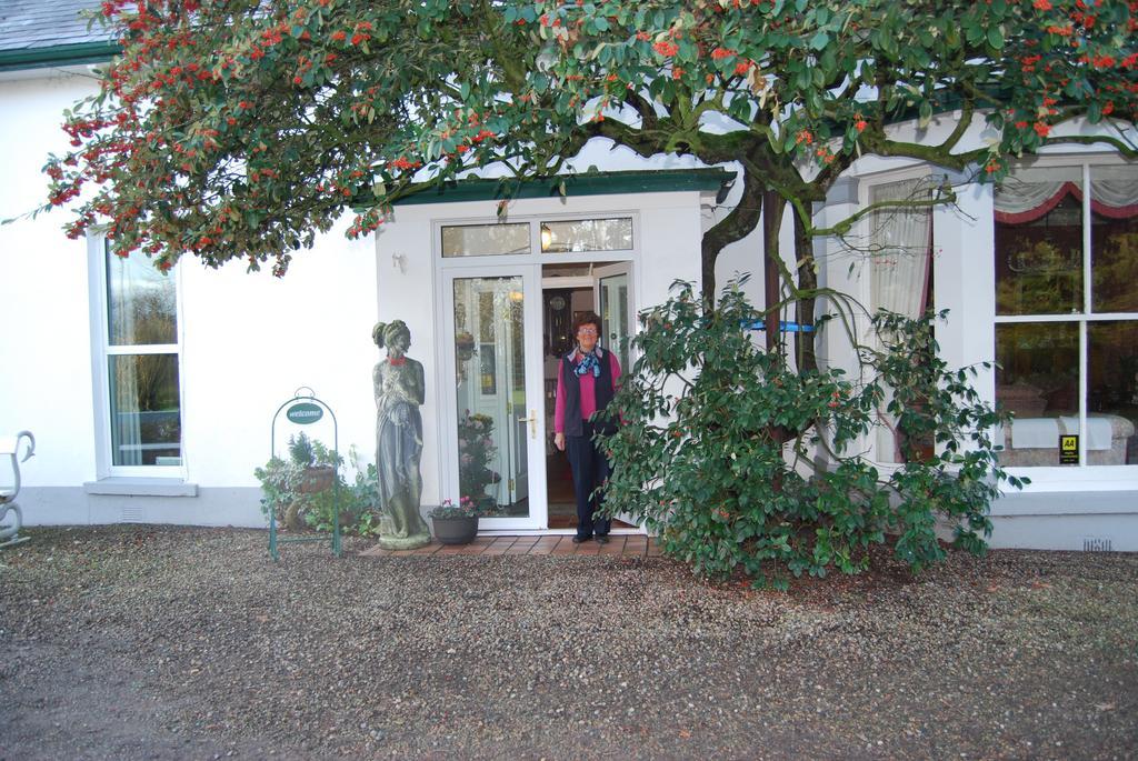 Grange Lodge Country House Dungannon Exterior photo